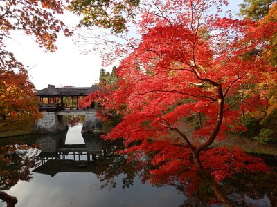 🏯 슈가쿠인 이궁 (슈가쿠인리큐)